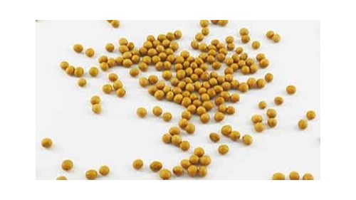 康之豆小调查：大豆中的B族维生素有什么作用？