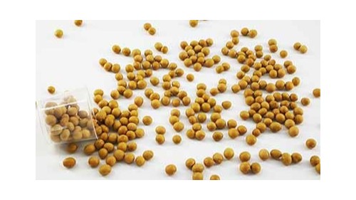 康之豆给你讲解高尿酸血症也能吃的营养脱毒大豆