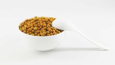 康之豆：经常食用黄豆对我们的身体有哪些好处？