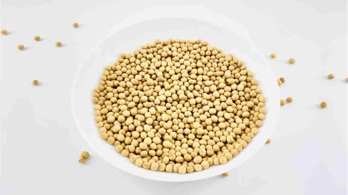 大豆蛋白质与乳清蛋白质的区别